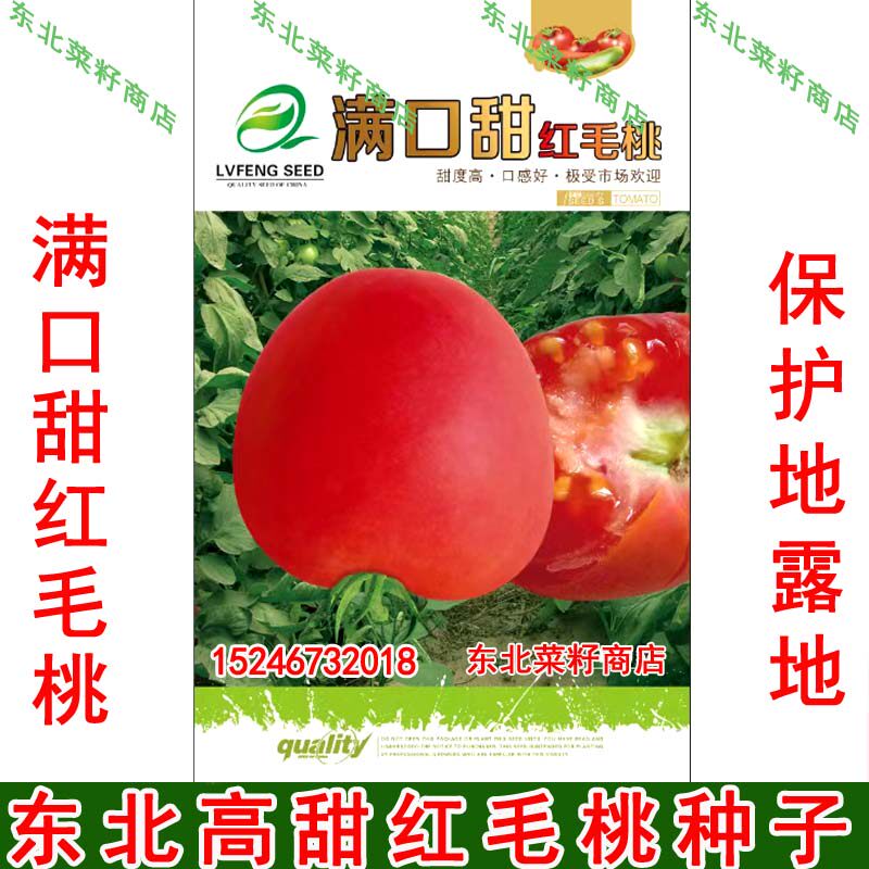 东北水果西红柿柿子 大棚露地 粉红毛柿子 酸甜红毛桃番茄钟子