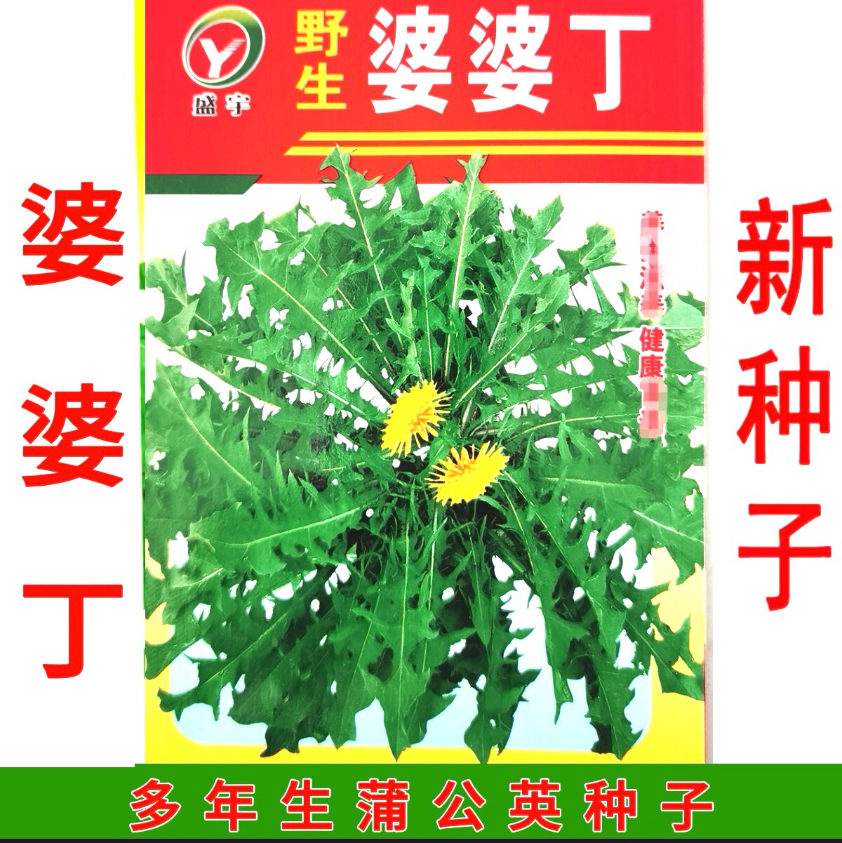 新籽 厂家东北 婆婆丁种子 露蔬菜种子/种苗