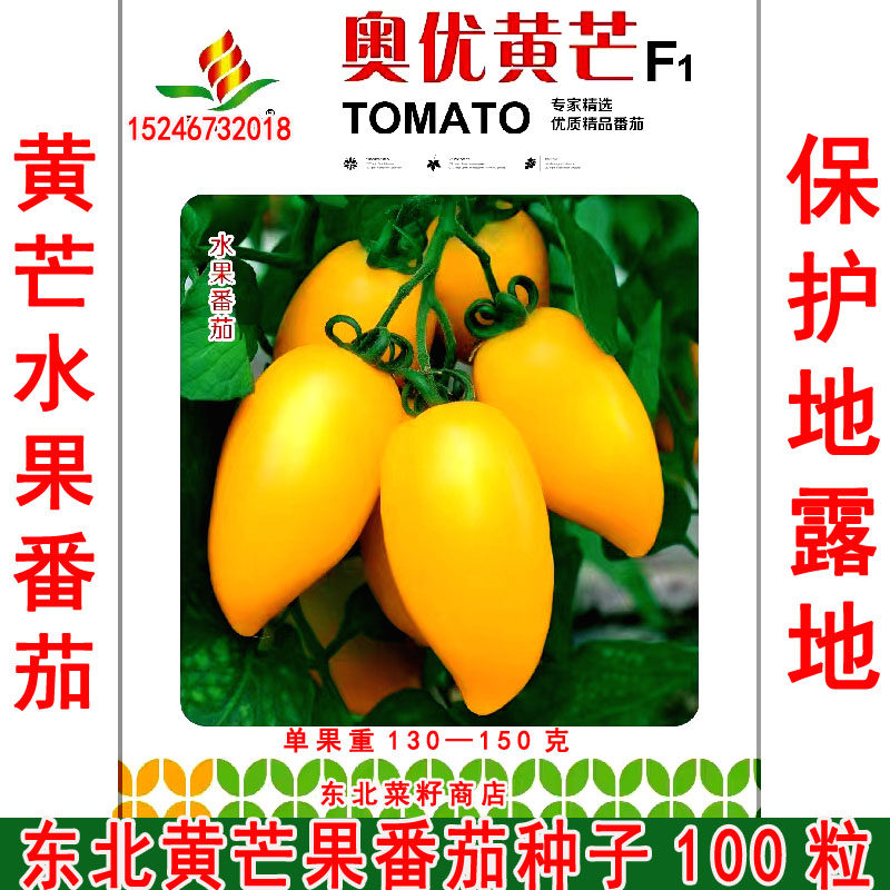 东北水果柿子种子 原装  保护地露地  黄芒果番茄种子100粒