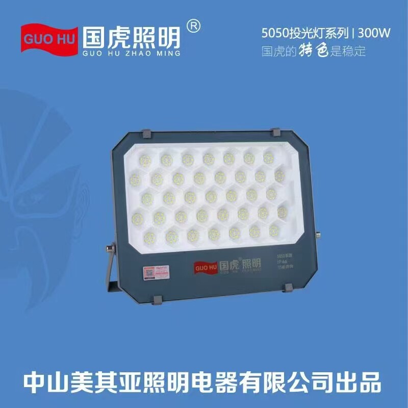 国虎5050系列户外led射灯防水强光工地厂房车间照明招牌户外球场