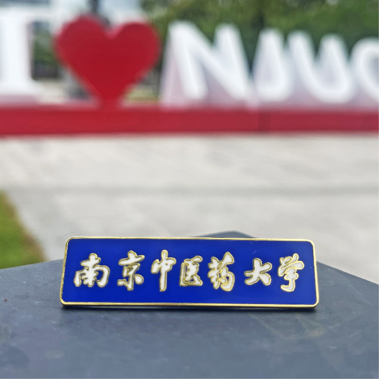 南中医校名徽章