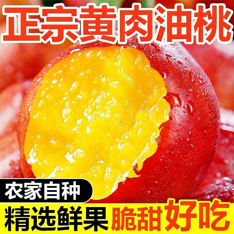 现摘安徽黄心油桃5斤黄肉黄金桃子应季脆软桃水密桃整箱包邮