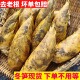 新鲜冬笋四川冬笋农家现挖野生竹笋黄泥楠竹笋冬笋嫩笋甜笋大冬笋