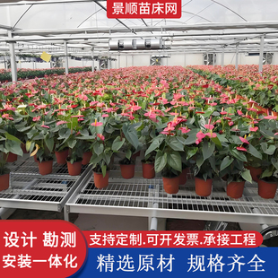 苗床网花卉养殖网大棚苗床网片种花网床温室大棚移动苗床网花架网