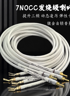 德国7NOCC镀纯银喇叭线HIFI胆机功放音箱香蕉头U型Y插音箱连接线
