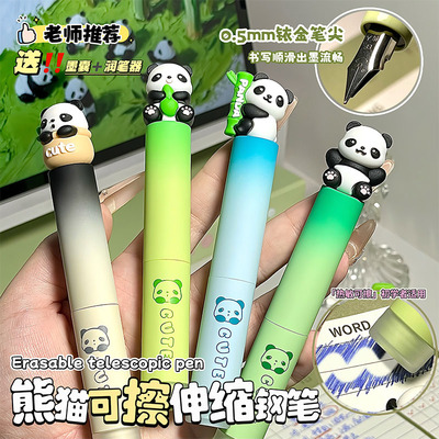 小学生正姿练字可擦可换墨囊钢笔