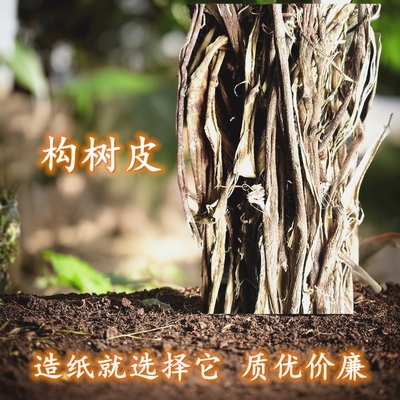 优质构树皮干手工造纸原料