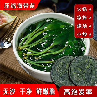 霞浦压缩海带苗海带条圆饼小包装海带苗干货火锅食材非海带丝商用