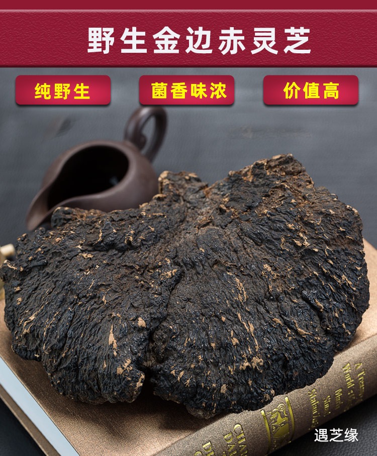 正品纯野生灵芝 薄盖芝云南深山薄树芝黑芝500克 买3送1 免费切片