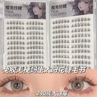 20排240簇无梗免胶自粘假睫毛太阳花睫毛书超自然款 素颜分段新手