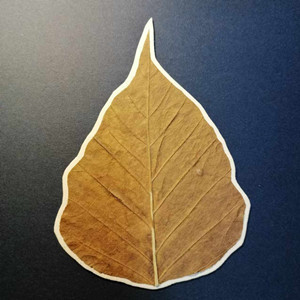 菩提叶加卡纸加宣纸,可书写绘画盖印章,每一个都是不同的书签。