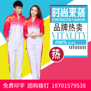 中老年运动套装女春秋季中年人南韩丝运动服妈妈装休闲套装二件套