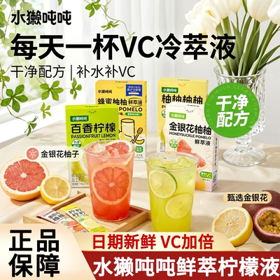 水獭吨吨百香柠鲜萃柠檬液果茶块独立小包装冲泡vc补水果茶冲饮料