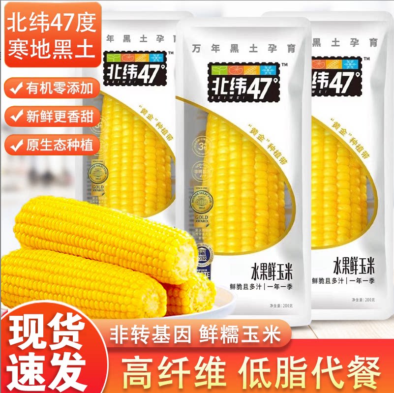 北纬47水果鲜玉米东北黄糯甜玉米图片