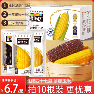 北纬47度低GI水果玉米开袋即食新鲜免煮甜玉米真空装粗粮代餐200g