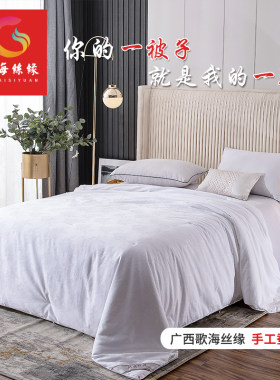 桑蚕丝二合一四季桑蚕丝子母被