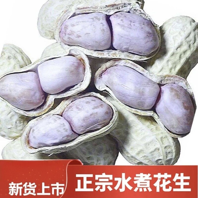 新货水煮花生农家花生