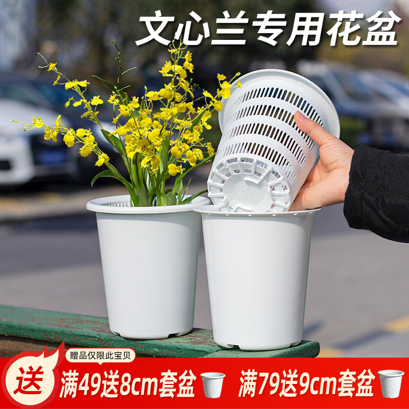 美莳文心兰专用控根花盆透气塑料梦香兰蝴蝶兰蟹爪兰白色懒人套盆,鲜花速递/花卉仿真/绿植园艺,花盆,淘宝优惠券,粉丝福利购,淘宝优惠卷