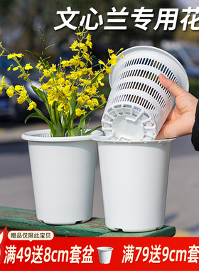 美莳文心兰专用控根花盆透气塑料梦香兰蝴蝶兰蟹爪兰白色懒人套盆