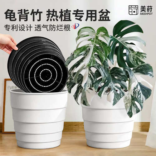 美莳龟背竹专用控根花盆透气树脂