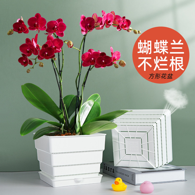 美莳方形蝴蝶兰专用花盆树脂透气大塑料杯水苔青山白色控根小套盆,鲜花速递/花卉仿真/绿植园艺,花盆,淘宝优惠券,粉丝福利购,淘宝优惠卷