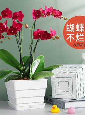 美莳方形蝴蝶兰专用花盆树脂透气大塑料杯水苔青山白色控根小套盆