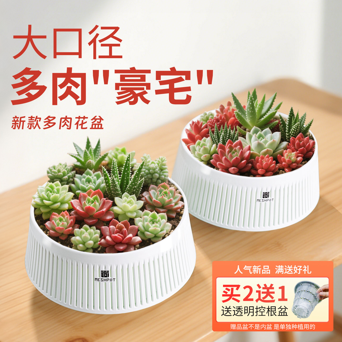 新款美莳多肉专用花盆大口径植物拼盘组合透气控根大号带托盘一体,鲜花速递/花卉仿真/绿植园艺,花盆,淘宝优惠券,粉丝福利购,淘宝优惠卷