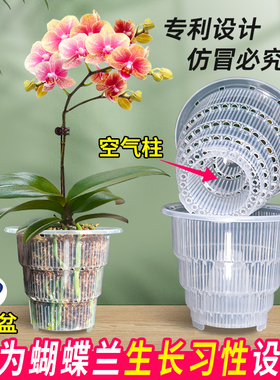 美莳蝴蝶兰专用花盆透明透气塑料杯水苔青山盆栽单只水培控根换盆