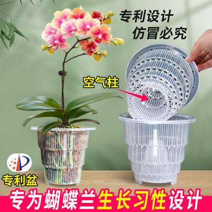 美莳蝴蝶兰专用花盆透明透气塑料杯水苔青山盆栽兰花单只水培控根