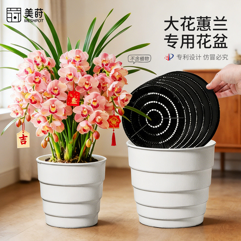 美莳大花蕙兰专用花盆透气防烂根大口径兰花塑料花瓶惠兰控根套盆,鲜花速递/花卉仿真/绿植园艺,花盆,淘宝优惠券,粉丝福利购,淘宝优惠卷
