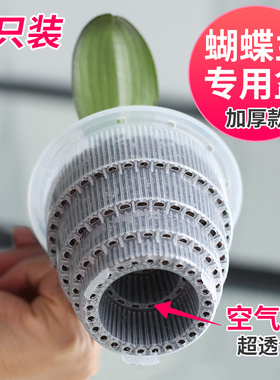 美莳蝴蝶兰专用花盆透明透气塑料育苗营养杯文心兰石斛镂空控根盆