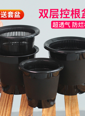 美莳控根多肉植物小花盆透气塑料蝴蝶兰石斛专用盆创意个性肉肉盆