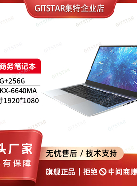 GITSTAR集特 国产兆芯 KX-6640MA办公商务轻薄笔记本电脑GEC-6001