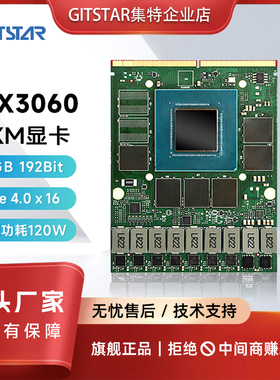 GITSTAR集特MXM显卡RTX3060 12G显存 多端口显示高性能独立显卡