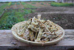 2025新笋黄山特产野生笋干高山绩溪燕笋干嫩笋 500G包邮