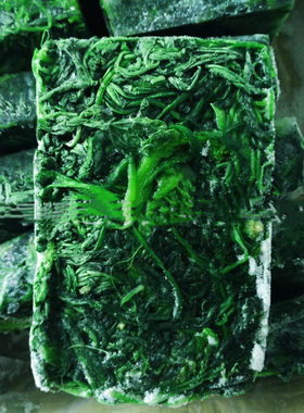 新鲜速冻荠菜块整棵馅料山东冷冻