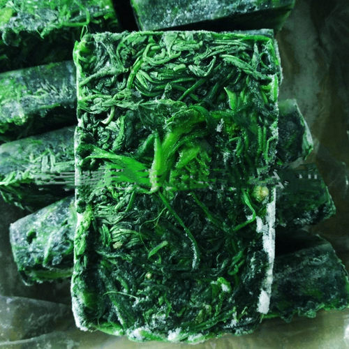 新鲜速冻荠菜块整棵馅料山东冷冻