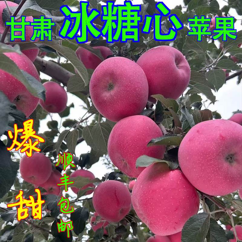 甘肃会宁当季冰糖心红富士脆甜多汁新鲜水果冰糖心苹果不打蜡精选,水产肉类/新鲜蔬果/熟食,苹果,淘宝优惠券,粉丝福利购,淘宝优惠卷