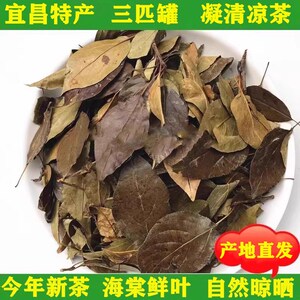 湖北宜昌凝清茶三匹罐野茶花红茶叶海棠叶一匹罐凉茶晒干