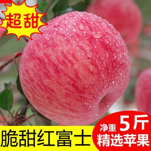 灵宝苹果2025年新果河南寺河山SOD富硒苹果红富士冰糖心10斤包邮