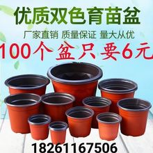 育苗盆双色盆加厚一次性花盆简易塑料大号多肉扦插盆营养钵育苗杯