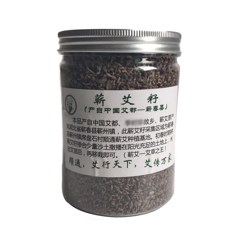 蕲春艾苗艾草种子食用艾叶种植