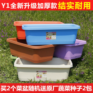 花盆阳台种菜盆 塑料花盆 长方形盆栽花卉绿植盆栽多肉植物花盆