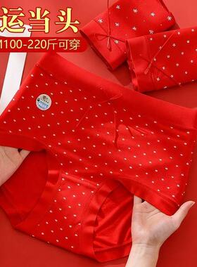 3条装 柔软竹纤维本命年大红色高腰内裤女生胖mm大码200斤三角裤