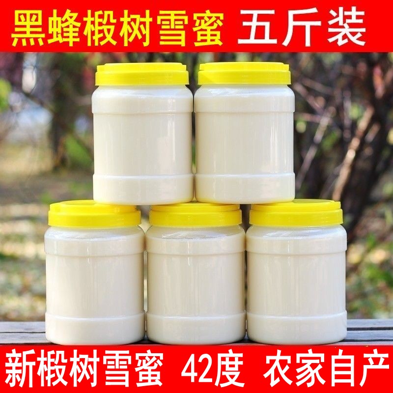 蜂蜜纯正天然黑蜂椴树雪蜜长白山白蜜东北特产农家野生成熟土蜂蜜