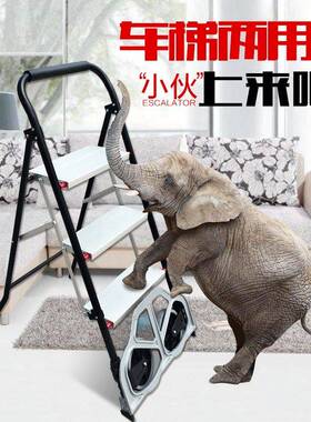2321F Convenient DualUse Folding Ladder