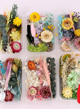 Yongsheng Flower Dried Flower Material Pack Handmade Dried