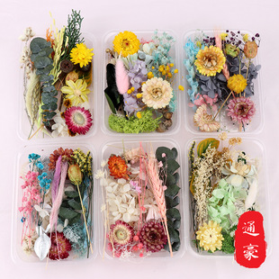 Yongsheng Flower Dried Flower Material Pack Handmade Dried