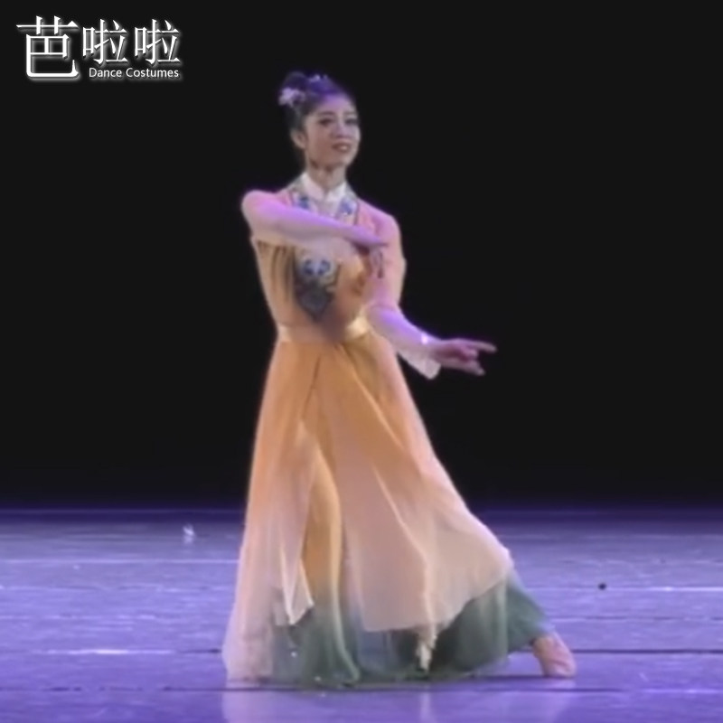 古典舞剧目演出服秋满梨园舞蹈服