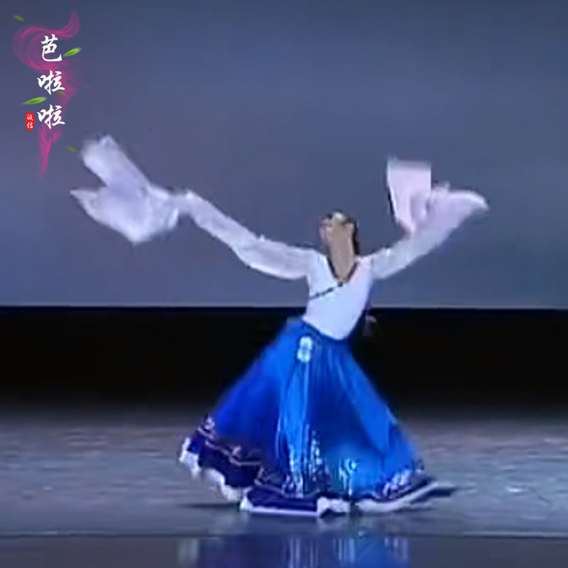 练功演出艺考藏族舞蹈服民族水袖